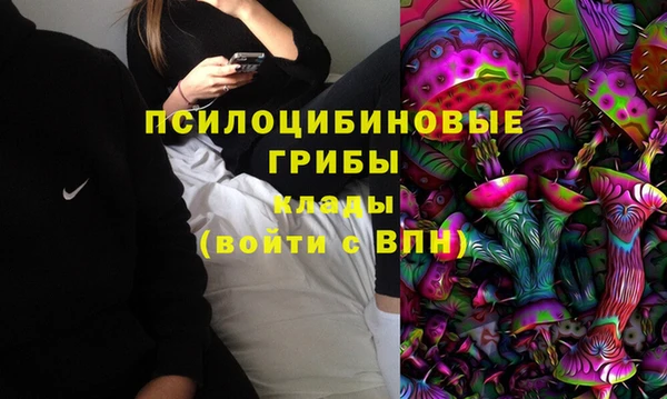молекула духа Арсеньев