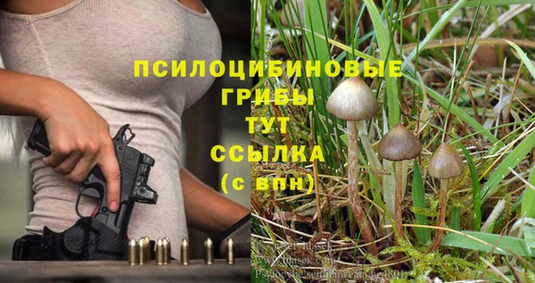 ешки Сафоново