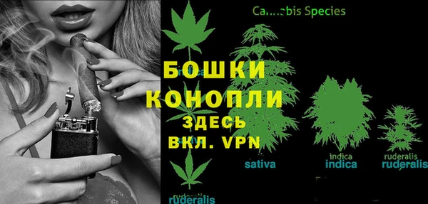 apvp Балабаново
