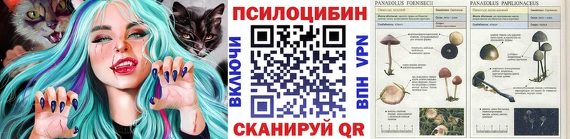 Галлюциногенные грибы прущие грибы  Новопавловск 
